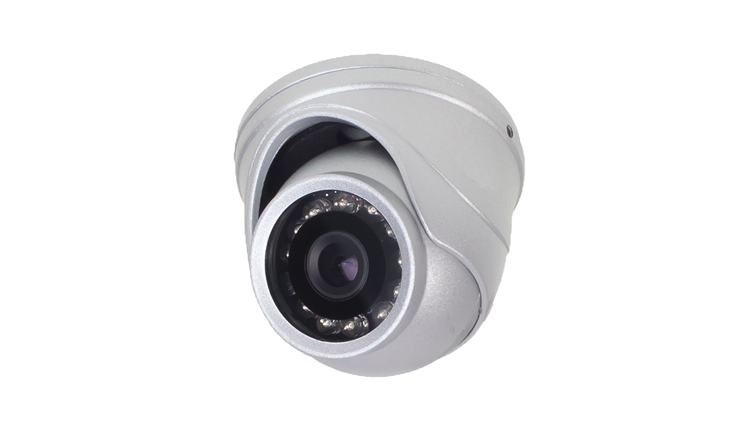 RVi-C311M (2.5 mm)